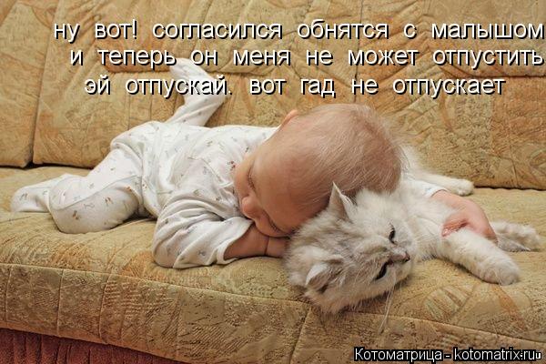 ну вот! согласился обнятся с малышом и теперь он меня не может отпустить эй отпускай. во... Котоматрица: ну вот! согласился обнятся с малышом и теперь он меня не может отпустить эй отпускай. вот гад не отпускает