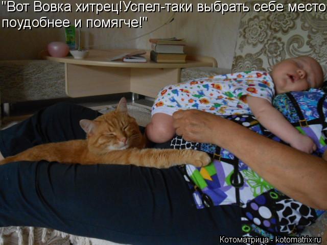 "Вот Вовка хитрец!Успел-таки выбрать себе место поудобнее и помягче!"... Котоматрица: "Вот Вовка хитрец!Успел-таки выбрать себе место поудобнее и помягче!"