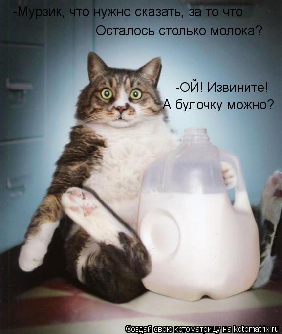 Осталось столько молока? -ОЙ! Извините! А булочку можно? -Мурзик, что нужно сказать, за то что... Котоматрица: Осталось столько молока? -ОЙ! Извините! А булочку можно? -Мурзик, что нужно сказать, за то что