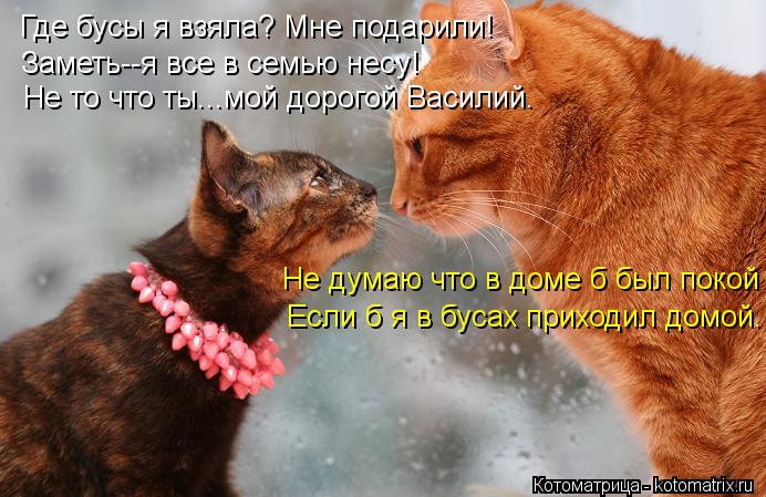 http://kotomatrix.ru/images/lolz/2013/08/20/kotomatritsa_-.jpg