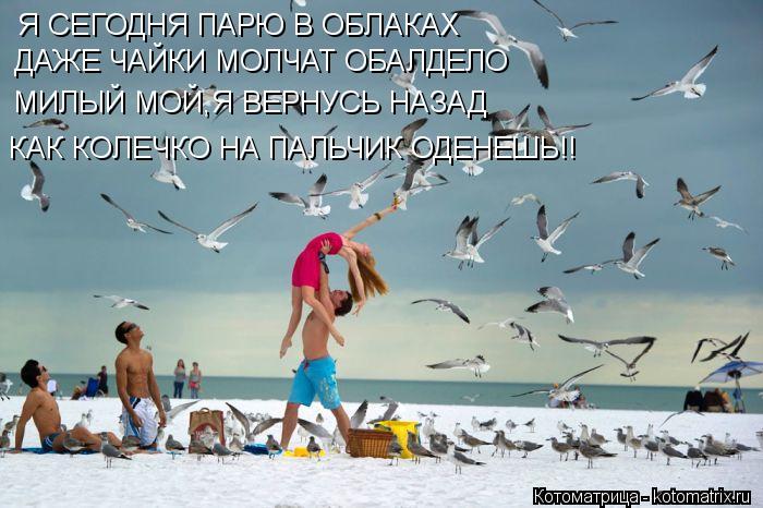 Я СЕГОДНЯ ПАРЮ В ОБЛАКАХ ДАЖЕ ЧАЙКИ МОЛЧАТ ОБАЛДЕЛО МИЛЫЙ МОЙ,Я ВЕРНУСЬ НАЗАД КАК КОЛЕЧКО НА ПАЛЬЧИК ... Котоматрица: Я СЕГОДНЯ ПАРЮ В ОБЛАКАХ ДАЖЕ ЧАЙКИ МОЛЧАТ ОБАЛДЕЛО МИЛЫЙ МОЙ,Я ВЕРНУСЬ НАЗАД КАК КОЛЕЧКО НА ПАЛЬЧИК ОДЕНЕШЬ!!