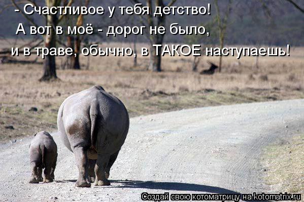 - Счастливое у тебя детство! А вот в моё - дорог не было, и в траве, обычно, в ТАКОЕ наступаешь!... Котоматрица: - Счастливое у тебя детство! А вот в моё - дорог не было, и в траве, обычно, в ТАКОЕ наступаешь!