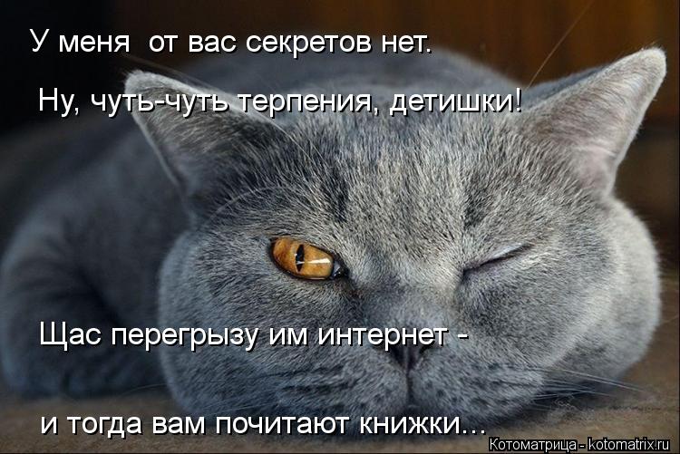 У меня от вас секретов нет. и тогда вам почитают книжки... Щас перегрызу им интернет - Ну, чуть-чу... Котоматрица: У меня от вас секретов нет. и тогда вам почитают книжки... Щас перегрызу им интернет - Ну, чуть-чуть терпения, детишки!
