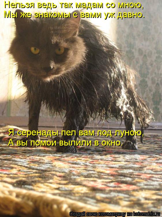 Нельзя ведь так мадам со мною, Мы же знакомы с вами уж давно. Я серенады пел вам под луною, А вы помо... Котоматрица: Нельзя ведь так мадам со мною, Мы же знакомы с вами уж давно. Я серенады пел вам под луною, А вы помои вылили в окно.