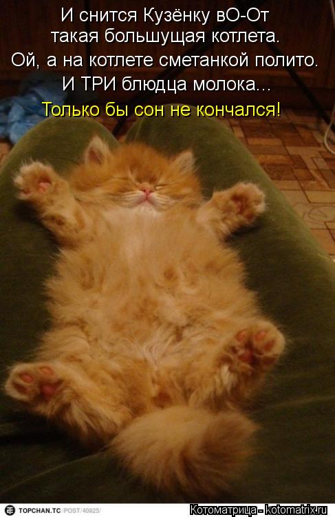 И снится Кузёнку вО-От такая большущая котлета. Ой, а на котлете сметанкой полито. И ТРИ блюдца молок... Котоматрица: И снится Кузёнку вО-От такая большущая котлета. Ой, а на котлете сметанкой полито. И ТРИ блюдца молока... Только бы сон не кончался!