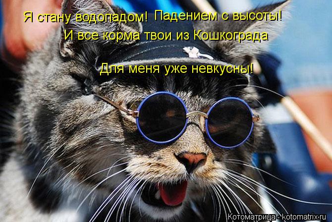 Я стану водопадом! Падением с высоты! И все корма твои из Кошкограда Для меня уже невкусны!... Котоматрица: Я стану водопадом! Падением с высоты! И все корма твои из Кошкограда Для меня уже невкусны!