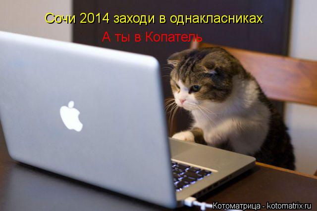 Сочи 2014 заходи в однакласниках А ты в Копатель... Котоматрица: Сочи 2014 заходи в однакласниках А ты в Копатель