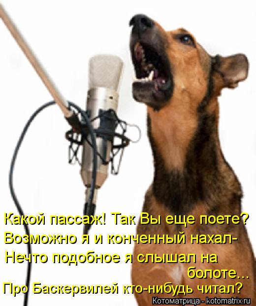 Какой пассаж! Так Вы еще поете? болоте... Нечто подобное я слышал на Возможно я и конченный нахал- П... Котоматрица: Какой пассаж! Так Вы еще поете? болоте... Нечто подобное я слышал на Возможно я и конченный нахал- Про Баскервилей кто-нибудь читал?
