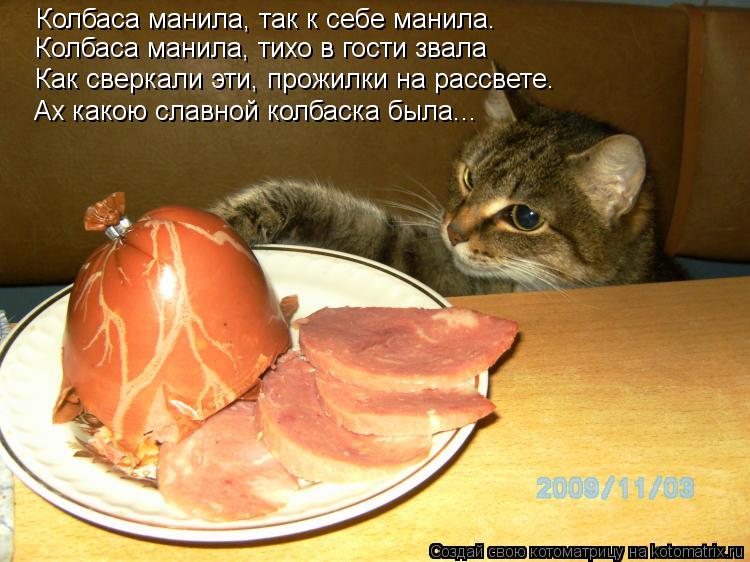 Колбаса манила, так к себе манила. Колбаса манила, тихо в гости звала Как сверкали эти, прожилки на р... Котоматрица: Колбаса манила, так к себе манила. Колбаса манила, тихо в гости звала Как сверкали эти, прожилки на рассвете. Ах какою славной колбаска была..