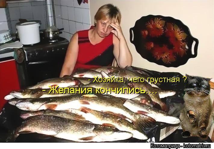 - Хозяйка, чего грустная ? - Желания кончились....... Котоматрица: - Хозяйка, чего грустная ? - Желания кончились....