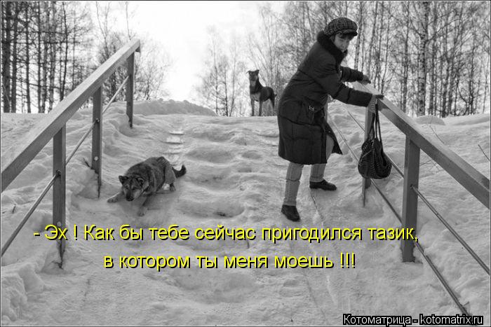 - Эх ! Как бы тебе сейчас пригодился тазик, в котором ты меня моешь !!!... Котоматрица: - Эх ! Как бы тебе сейчас пригодился тазик, в котором ты меня моешь !!!