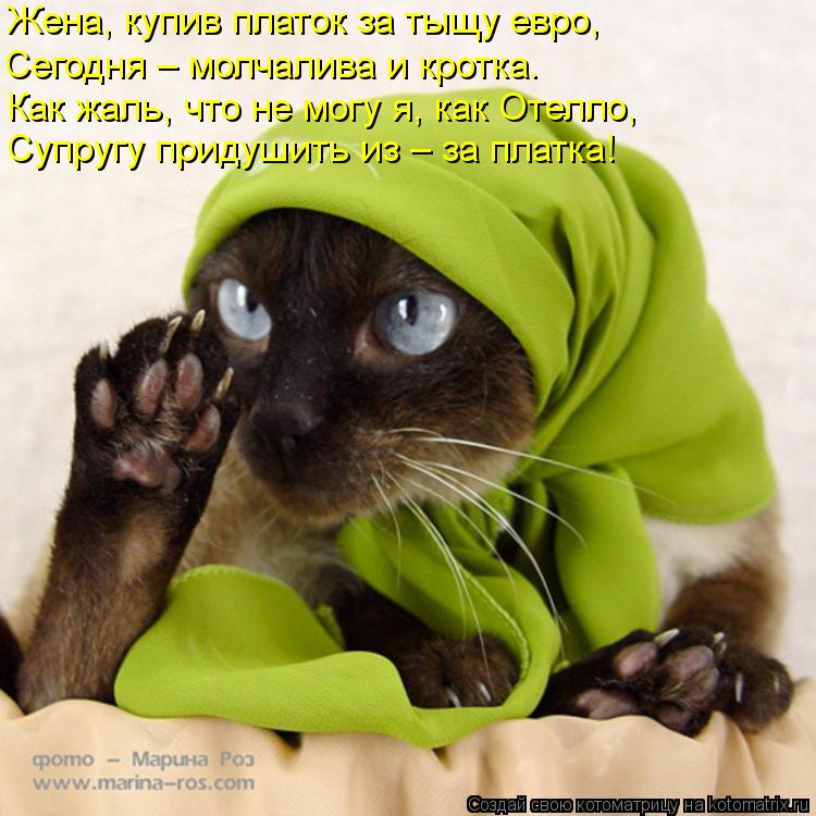 Жена, купив платок за тыщу евро, Сегодня – молчалива и кротка. Как жаль, что не могу я, как Отелло, С... Котоматрица: Жена, купив платок за тыщу евро, Сегодня – молчалива и кротка. Как жаль, что не могу я, как Отелло, Супругу придушить из – за платка!