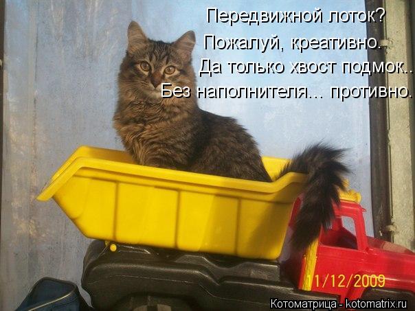 Передвижной лоток? Пожалуй, креативно. Да только хвост подмок... Без наполнителя... противно.... Котоматрица: Передвижной лоток? Пожалуй, креативно. Да только хвост подмок... Без наполнителя... противно.