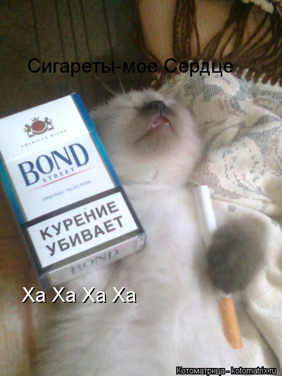 Сигареты-мое Сердце Ха Ха Ха Ха... Котоматрица: Сигареты-мое Сердце Ха Ха Ха Ха