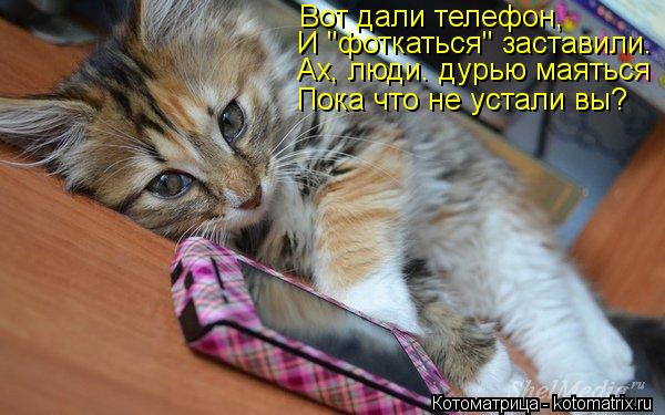 Вот дали телефон, И "фоткаться" заставили. Ах, люди. дурью маяться Пока что не устали вы?... Котоматрица: Вот дали телефон, И "фоткаться" заставили. Ах, люди. дурью маяться Пока что не устали вы?