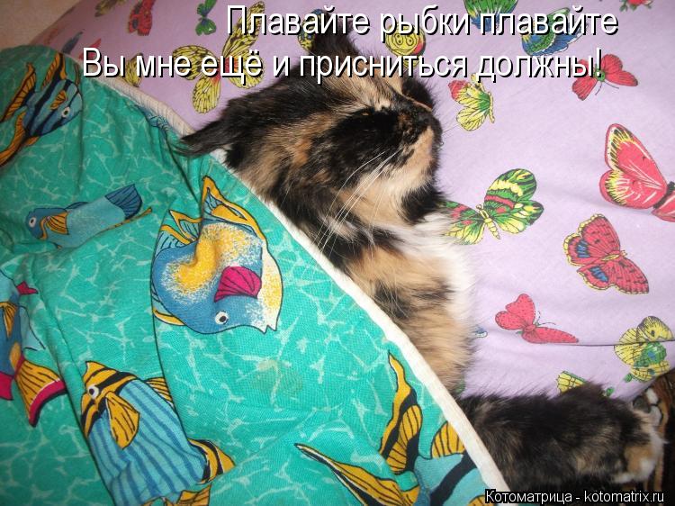 Плавайте рыбки плавайте Вы мне ещё и присниться должны!... Котоматрица: Плавайте рыбки плавайте Вы мне ещё и присниться должны!