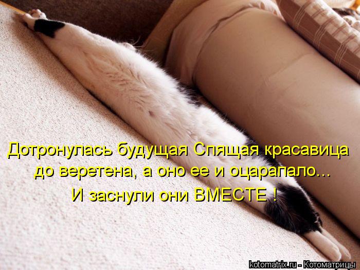 Дотронулась будущая Спящая красавица до веретена, а оно ее и оцарапало... И заснули они ВМЕСТЕ !... Котоматрица: Дотронулась будущая Спящая красавица до веретена, а оно ее и оцарапало... И заснули они ВМЕСТЕ !