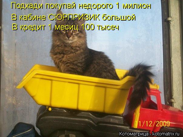 Подхади покупай недорого 1 милион В кабине СЮРПРИЗИК большой В кредит 1 месиц 100 тысеч... Котоматрица: Подхади покупай недорого 1 милион В кабине СЮРПРИЗИК большой В кредит 1 месиц 100 тысеч
