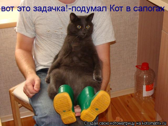 вот это задачка!-подумал Кот в сапогах... Котоматрица: вот это задачка!-подумал Кот в сапогах