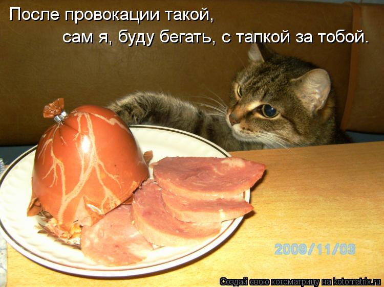 После провокации такой, сам я, буду бегать, с тапкой за тобой.... Котоматрица: После провокации такой, сам я, буду бегать, с тапкой за тобой.