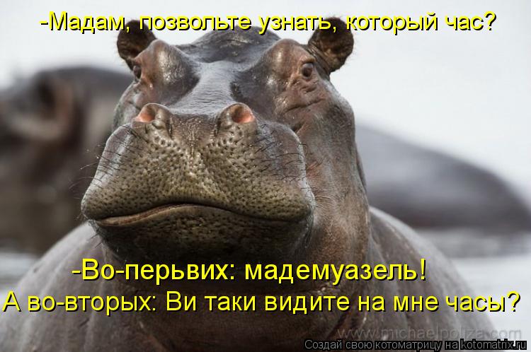-Мадам, позвольте узнать, который час? А во-вторых: Ви таки видите на мне часы? -Во-перьвих: мадемуаз... Котоматрица: -Мадам, позвольте узнать, который час? А во-вторых: Ви таки видите на мне часы? -Во-перьвих: мадемуазель!