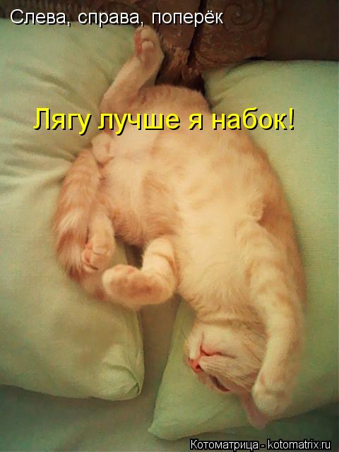 Слева, справа, поперёк Лягу лучше я набок!... Котоматрица: Слева, справа, поперёк Лягу лучше я набок!