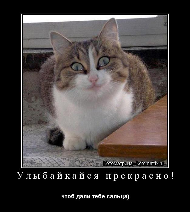 Улыбайкайся прекрасно! чтоб дали тебе сальца)... Котоматрица: Улыбайкайся прекрасно! чтоб дали тебе сальца)