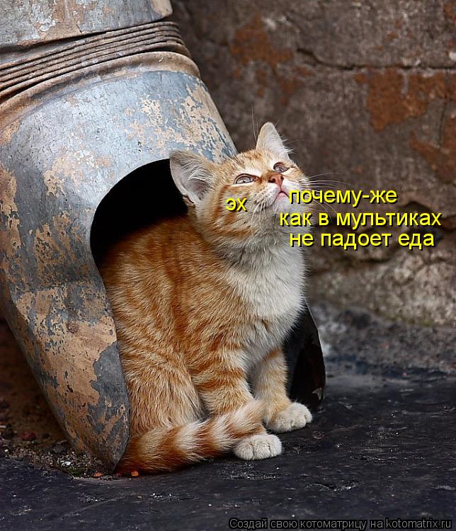 как в мультиках почему-же не падоет еда эх... Котоматрица: как в мультиках почему-же не падоет еда эх