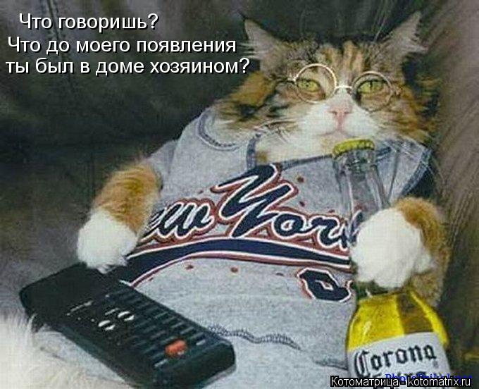 Что говоришь? Что до моего появления ты был в доме хозяином?... Котоматрица: Что говоришь? Что до моего появления ты был в доме хозяином?