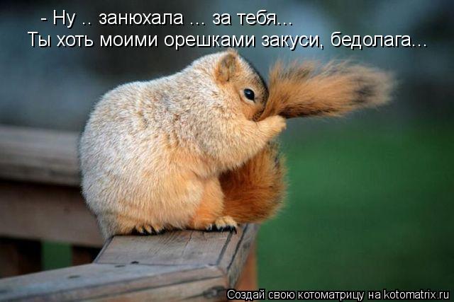 - Ну .. занюхала ... за тебя... Ты хоть моими орешками закуси, бедолага...... Котоматрица: - Ну .. занюхала ... за тебя... Ты хоть моими орешками закуси, бедолага...
