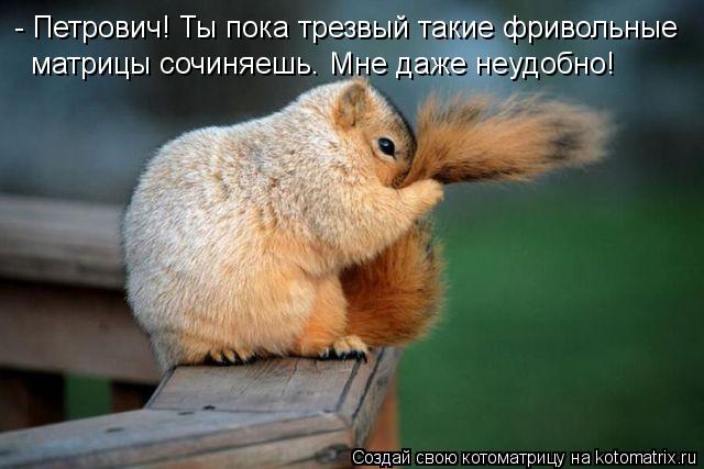 - Петрович! Ты пока трезвый такие фривольные матрицы сочиняешь. Мне даже неудобно!... Котоматрица: - Петрович! Ты пока трезвый такие фривольные матрицы сочиняешь. Мне даже неудобно!