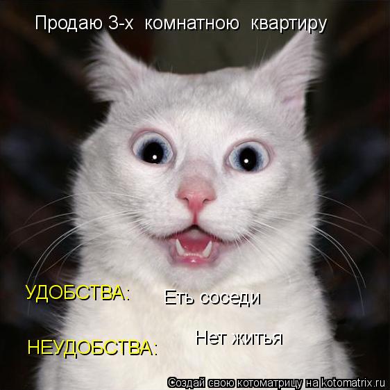 Продаю 3-х комнатною квартиру УДОБСТВА: Еть соседи НЕУДОБСТВА: Нет житья... Котоматрица: Продаю 3-х комнатною квартиру УДОБСТВА: Еть соседи НЕУДОБСТВА: Нет житья