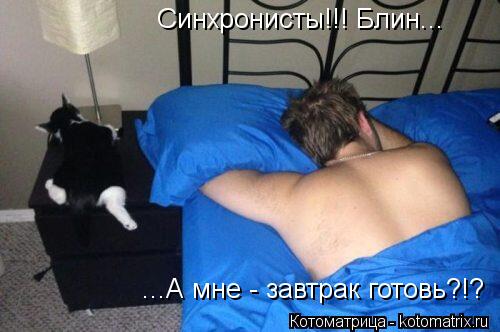 Синхронисты!!! Блин... ...А мне - завтрак готовь?!?... Котоматрица: Синхронисты!!! Блин... ...А мне - завтрак готовь?!?