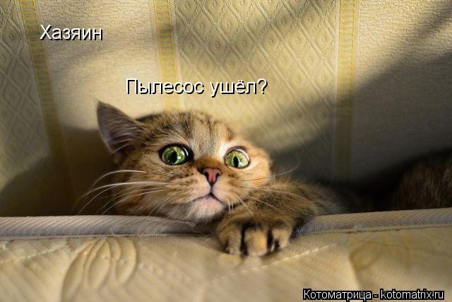 Хазяин Пылесос ушёл?... Котоматрица: Хазяин Пылесос ушёл?