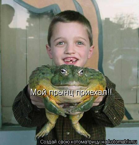 Мой прынц приехал!!... Котоматрица: Мой прынц приехал!!