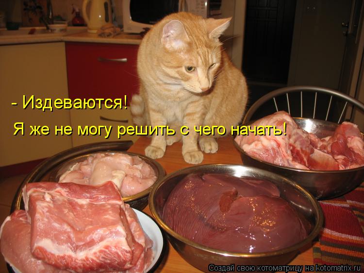 Я же не могу решить с чего начать! - Издеваются!... Котоматрица: Я же не могу решить с чего начать! - Издеваются!