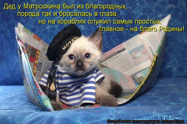 Дед у Матроскина был из благородных, порода так и бросалась в глаза, но на кораблях служил самых про... Котоматрица: Дед у Матроскина был из благородных, порода так и бросалась в глаза, но на кораблях служил самых простых, главное - на благо Родины!