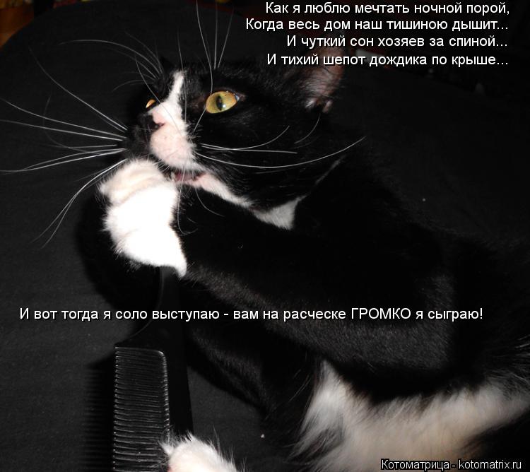 Как я люблю мечтать ночной порой, Когда весь дом наш тишиною дышит... И чуткий сон хозяев за спиной..... Котоматрица: Как я люблю мечтать ночной порой, Когда весь дом наш тишиною дышит... И чуткий сон хозяев за спиной... И тихий шепот дождика по крыше... И вот то