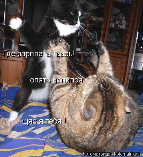 Где зарплата тварь! опять напился щяс я тебя !... Котоматрица: Где зарплата тварь! опять напился щяс я тебя !