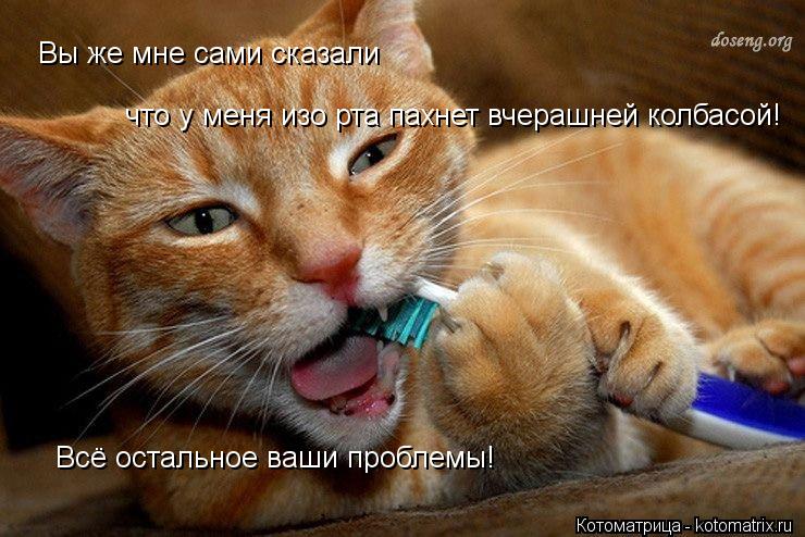 Вы же мне сами сказали что у меня изо рта пахнет вчерашней колбасой! Всё остальное ваши проблемы!... Котоматрица: Вы же мне сами сказали что у меня изо рта пахнет вчерашней колбасой! Всё остальное ваши проблемы!