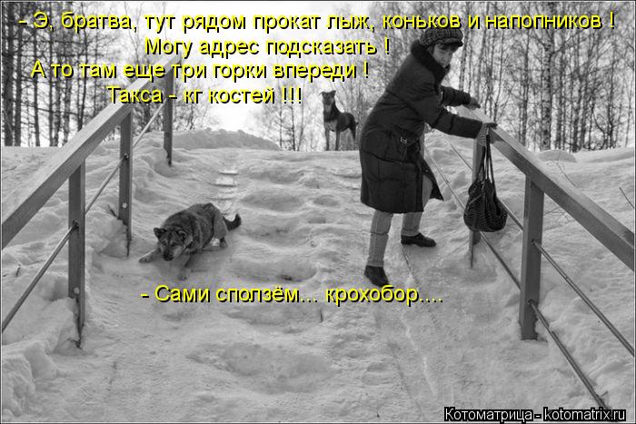 - Э, братва, тут рядом прокат лыж, коньков и напопников ! Могу адрес подсказать ! А то там еще три го... Котоматрица: - Э, братва, тут рядом прокат лыж, коньков и напопников ! Могу адрес подсказать ! А то там еще три горки впереди ! Такса - кг костей !!! - Сами спол