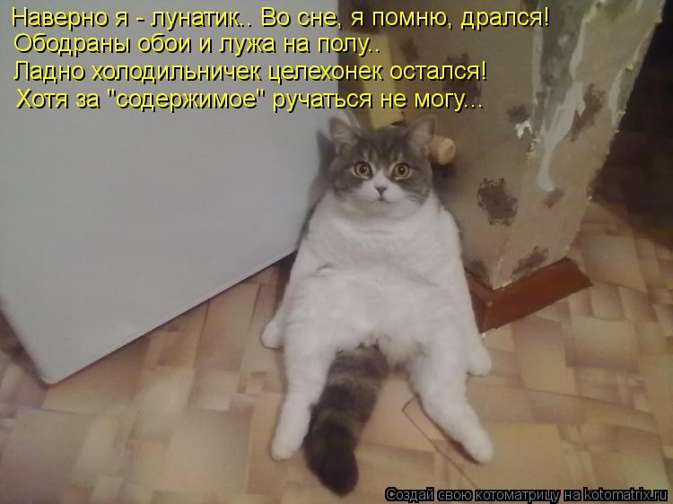 Наверно я - лунатик.. Во сне, я помню, дрался! Ободраны обои и лужа на полу.. Ладно холодильничек цел... Котоматрица: Наверно я - лунатик.. Во сне, я помню, дрался! Ободраны обои и лужа на полу.. Ладно холодильничек целехонек остался! Хотя за "содержимое" ручать