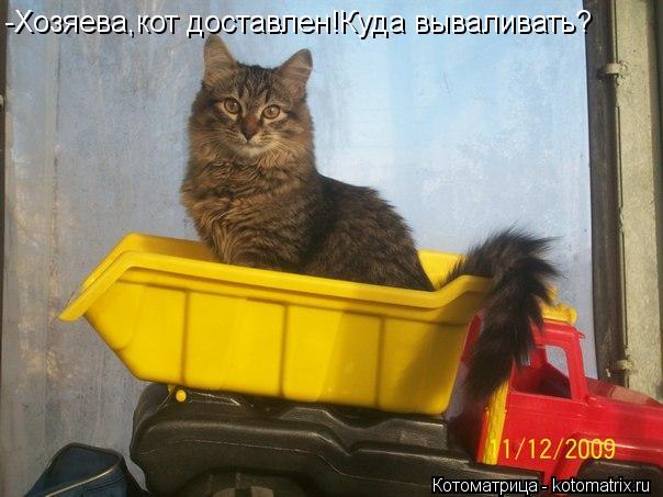 -Хозяева,кот доставлен!Куда вываливать?... Котоматрица: -Хозяева,кот доставлен!Куда вываливать?