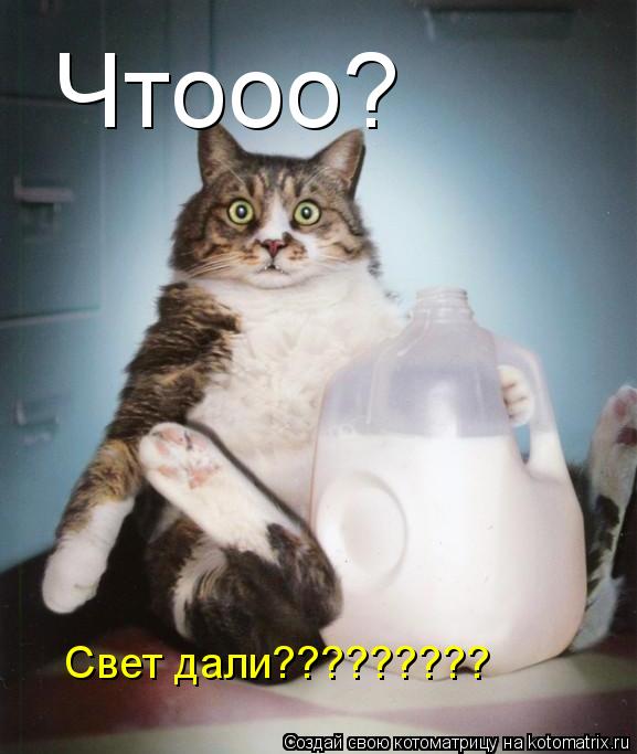 Чтооо? Свет дали?????????... Котоматрица: Чтооо? Свет дали?????????
