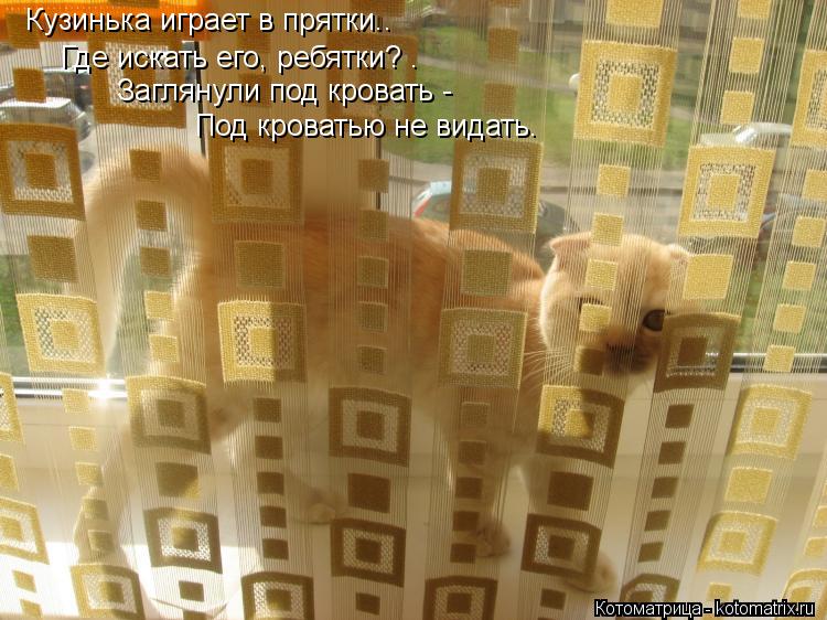 Кузинька играет в прятки.. Где искать его, ребятки? . Заглянули под кровать - Под кроватью не видать... Котоматрица: Кузинька играет в прятки.. Где искать его, ребятки? . Заглянули под кровать - Под кроватью не видать.