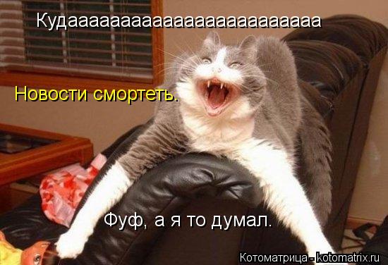 Кудаааааааааааааааааааааааа Новости смортеть. Фуф, а я то думал.... Котоматрица: Кудаааааааааааааааааааааааа Новости смортеть. Фуф, а я то думал.