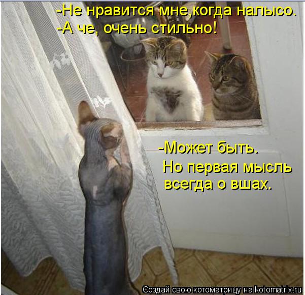 -Не нравится мне,когда налысо. -А че, очень стильно! -Может быть. всегда о вшах. Но первая мысль... Котоматрица: -Не нравится мне,когда налысо. -А че, очень стильно! -Может быть. всегда о вшах. Но первая мысль