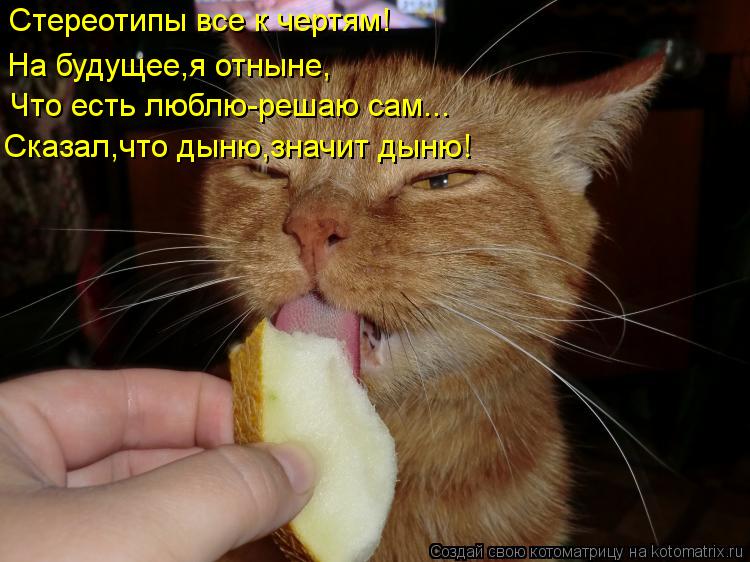 Стереотипы все к чертям! Что есть люблю-решаю сам... Сказал,что дыню,значит дыню! На будущее,я отныне... Котоматрица: Стереотипы все к чертям! Что есть люблю-решаю сам... Сказал,что дыню,значит дыню! На будущее,я отныне,