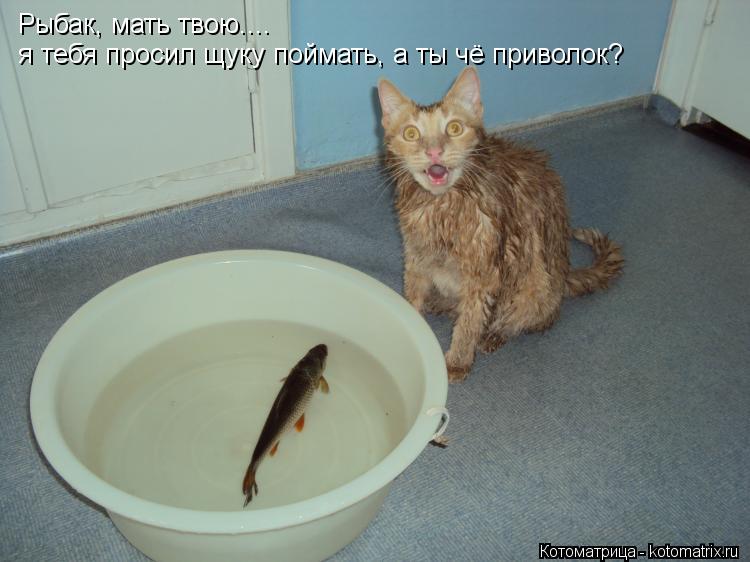 Рыбак, мать твою.... я тебя просил щуку поймать, а ты чё приволок?... Котоматрица: Рыбак, мать твою.... я тебя просил щуку поймать, а ты чё приволок?