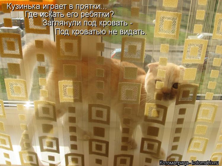 Кузинька играет в прятки... Где искать его ребятки? Заглянули под кровать - Под кроватью не видать.... Котоматрица: Кузинька играет в прятки... Где искать его ребятки? Заглянули под кровать - Под кроватью не видать.